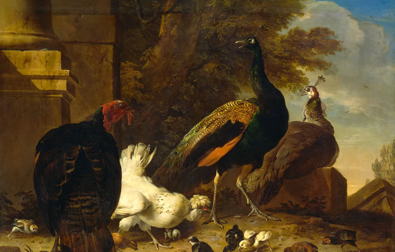 Фото обои животные, птицы, картина, Мельхиор де Хондекутер, Курица с Павлинами и Индюк