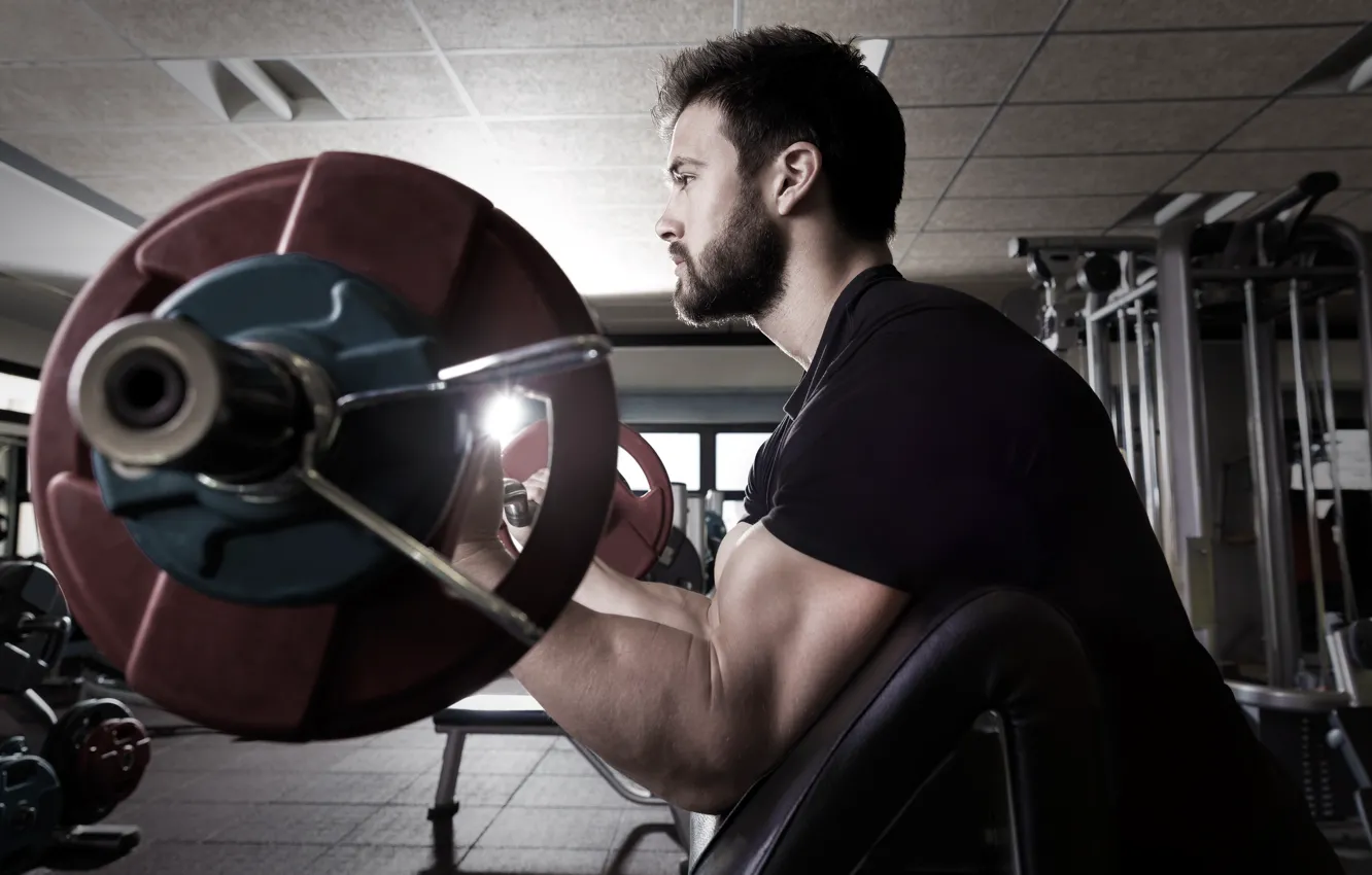 Фото обои поза, muscle, мышцы, штанга, атлет, бицепс, gym, бодибилдер