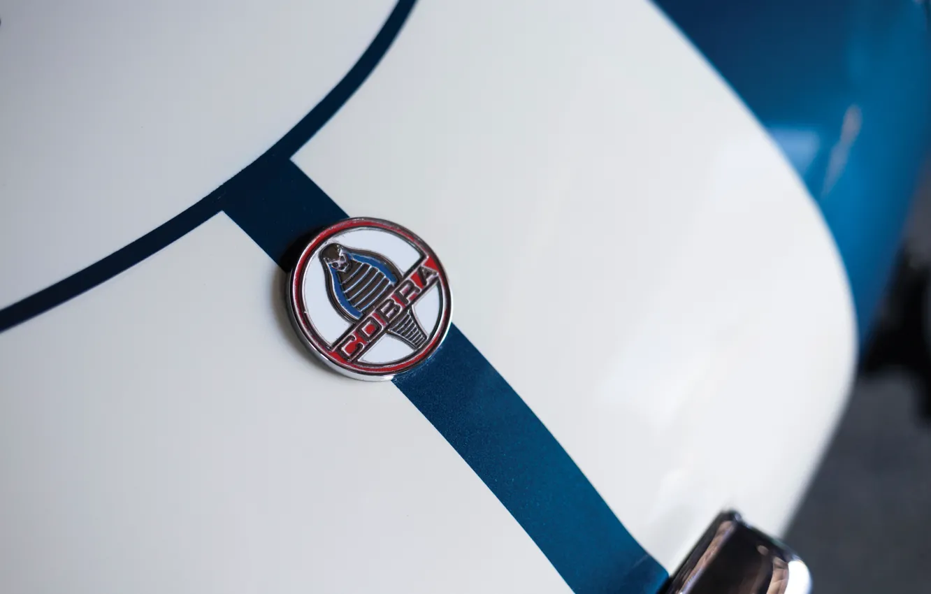 Фото обои Shelby, logo, Cobra, badge, Shelby Cobra 289