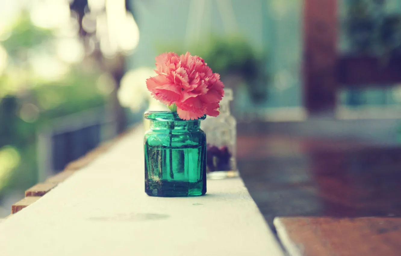 Фото обои flower, macro, awesome, amazing, zoom, cool, nice, bottle