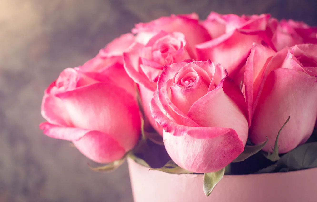Фото обои розы, букет, розовые, Abelena