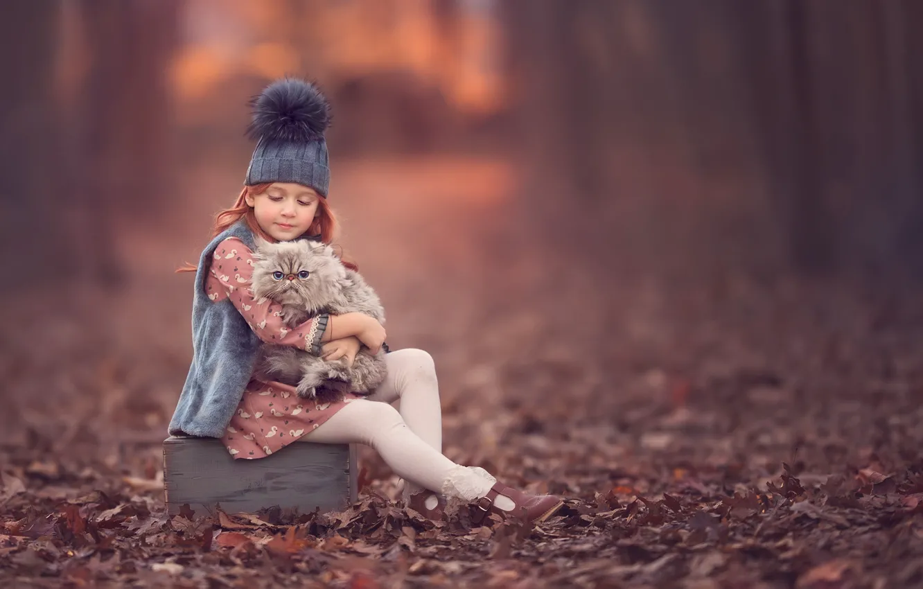 Фото обои осень, девочка, котёнок, друзья, шапочка, боке