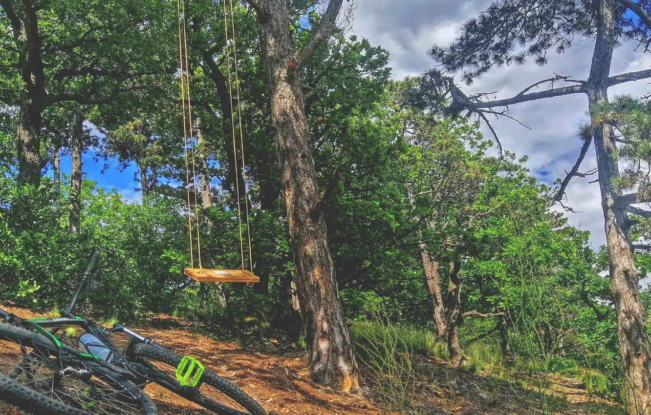 Фото обои sport, bicycle, sky, bike, trees, country, swing, Forest