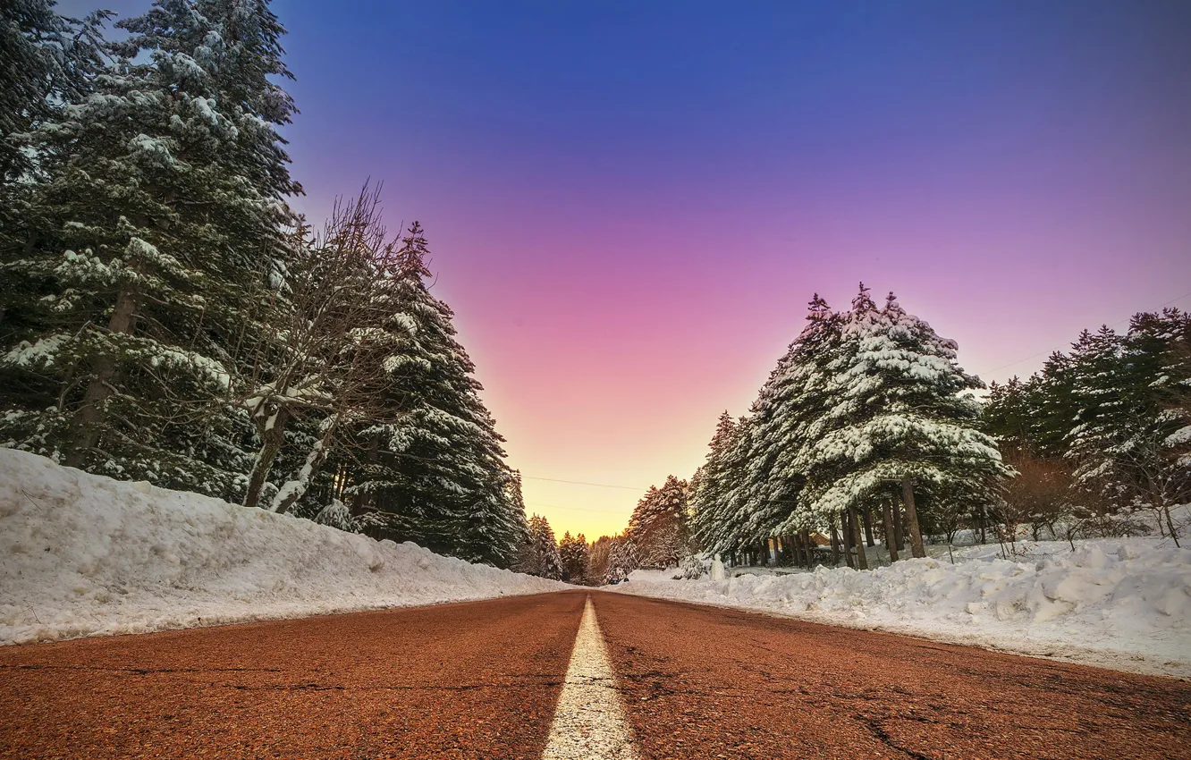 Фото обои зима, дорога, лес, небо, forest, trees, winter, roads
