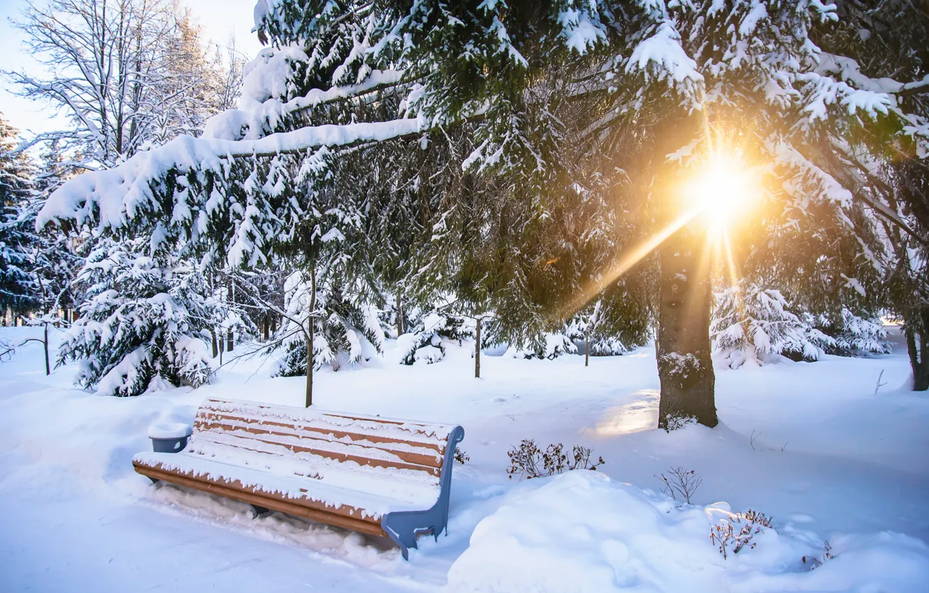 Фото обои зима, снег, скамейка, парк, white, landscape, park, winter