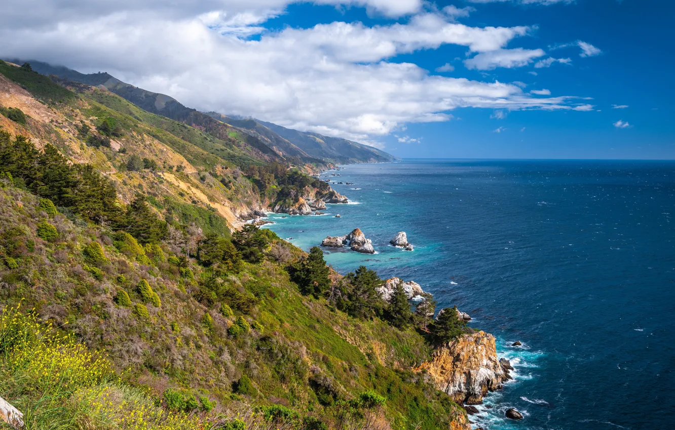 Фото обои california, pacific ocean, ocean, coast, shore