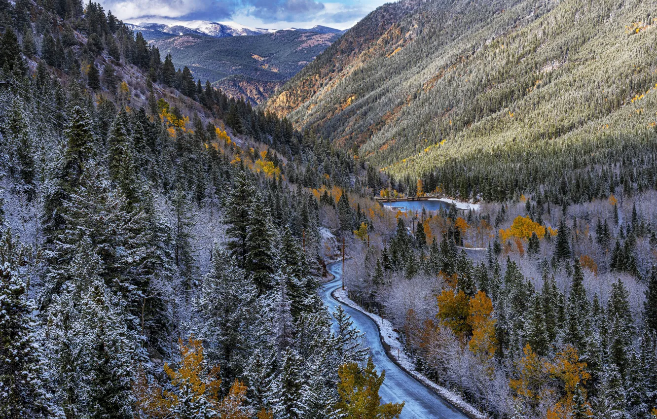 Фото обои forest, autumn, Colorado