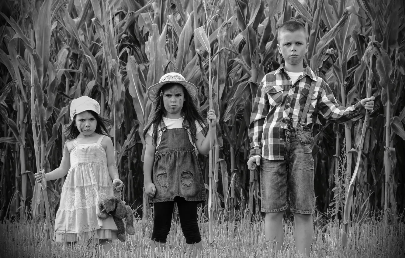 Фото обои фото, по мотивам фильма, дети кукурузы
