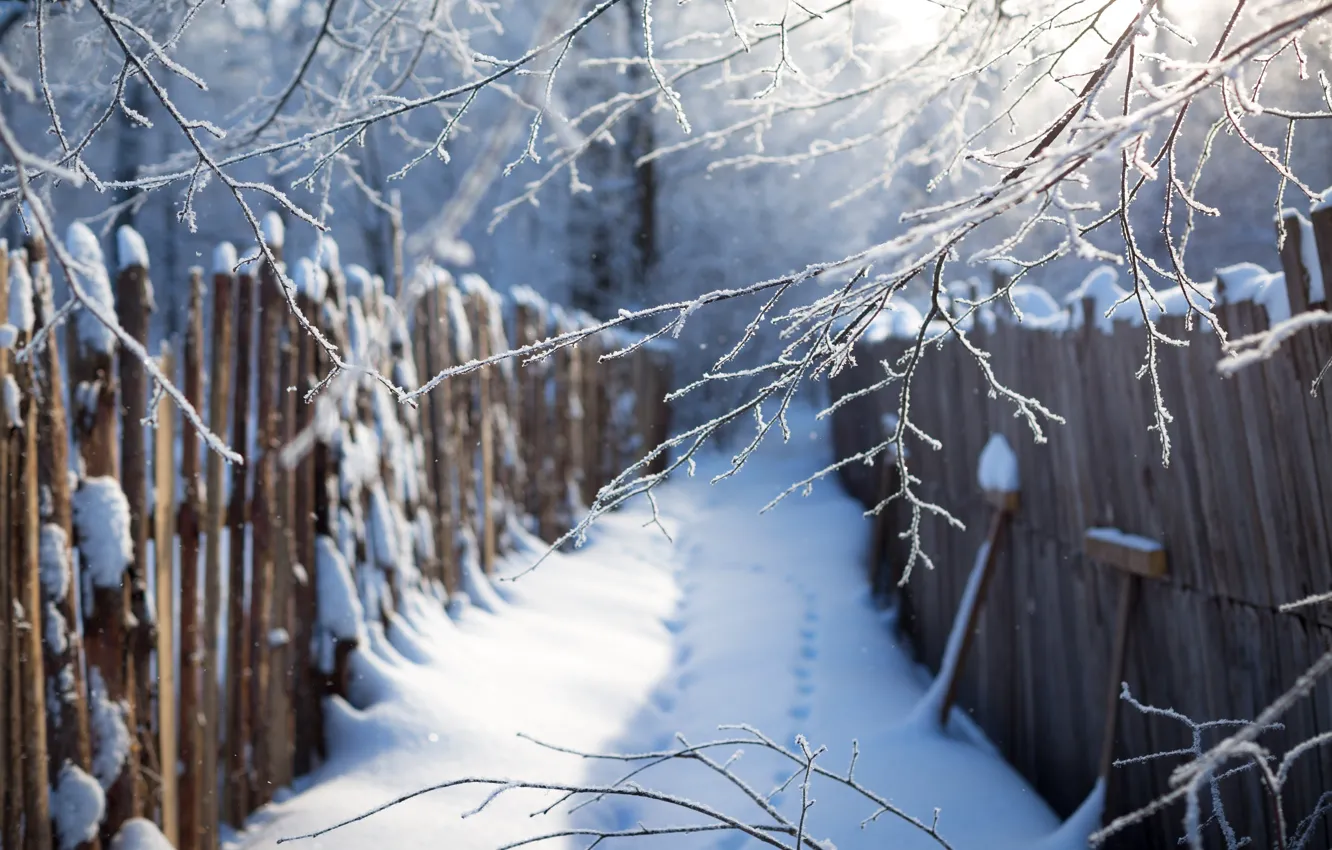 Фото обои зима, снег, синий, следы, забор, ветка, сугробы