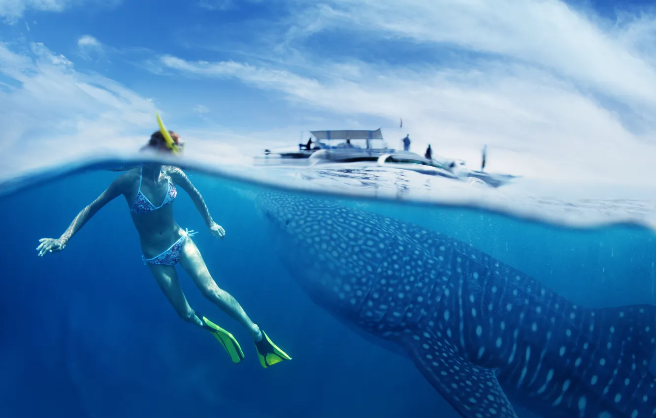 Фото обои Whale Shark, snorkeling, young lady