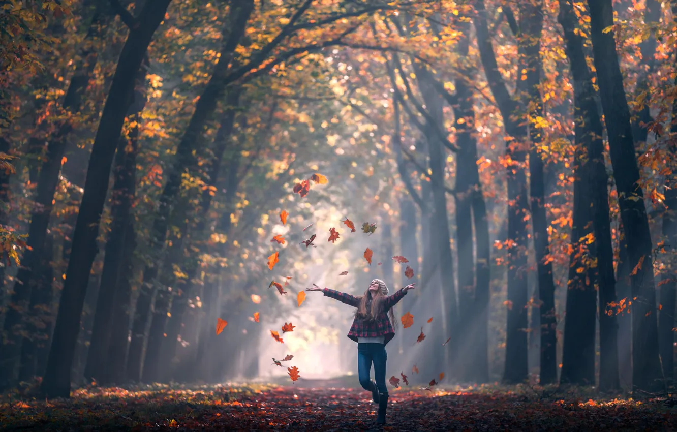Фото обои осень, листья, девушка, Fall, аллея