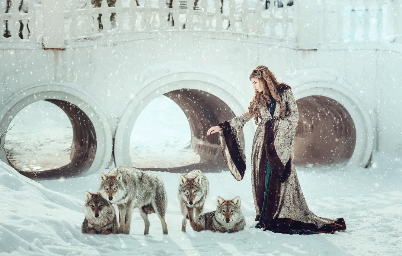Фото обои зима, взгляд, девушка, снег, мост, поза, сказка, стая