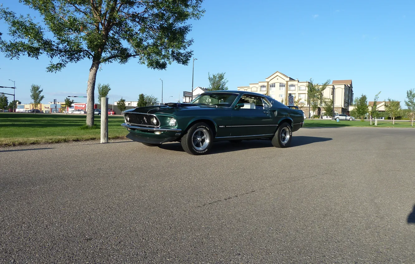 Фото обои Mustang, Ford, 1969, Green, Musclecar, Mach 1, Mach1