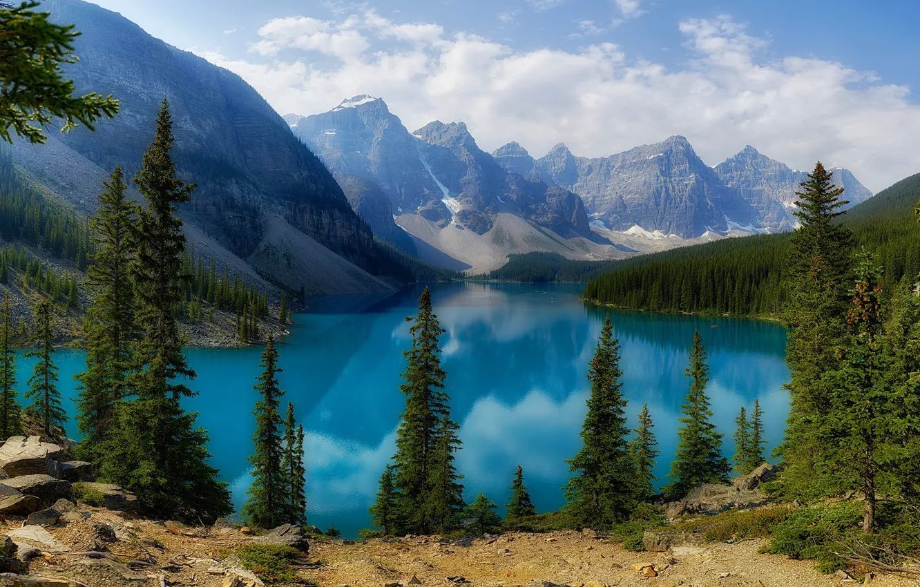 Фото обои лес, озеро, берег, ели, Канада, Альберта, водоем, Морейн