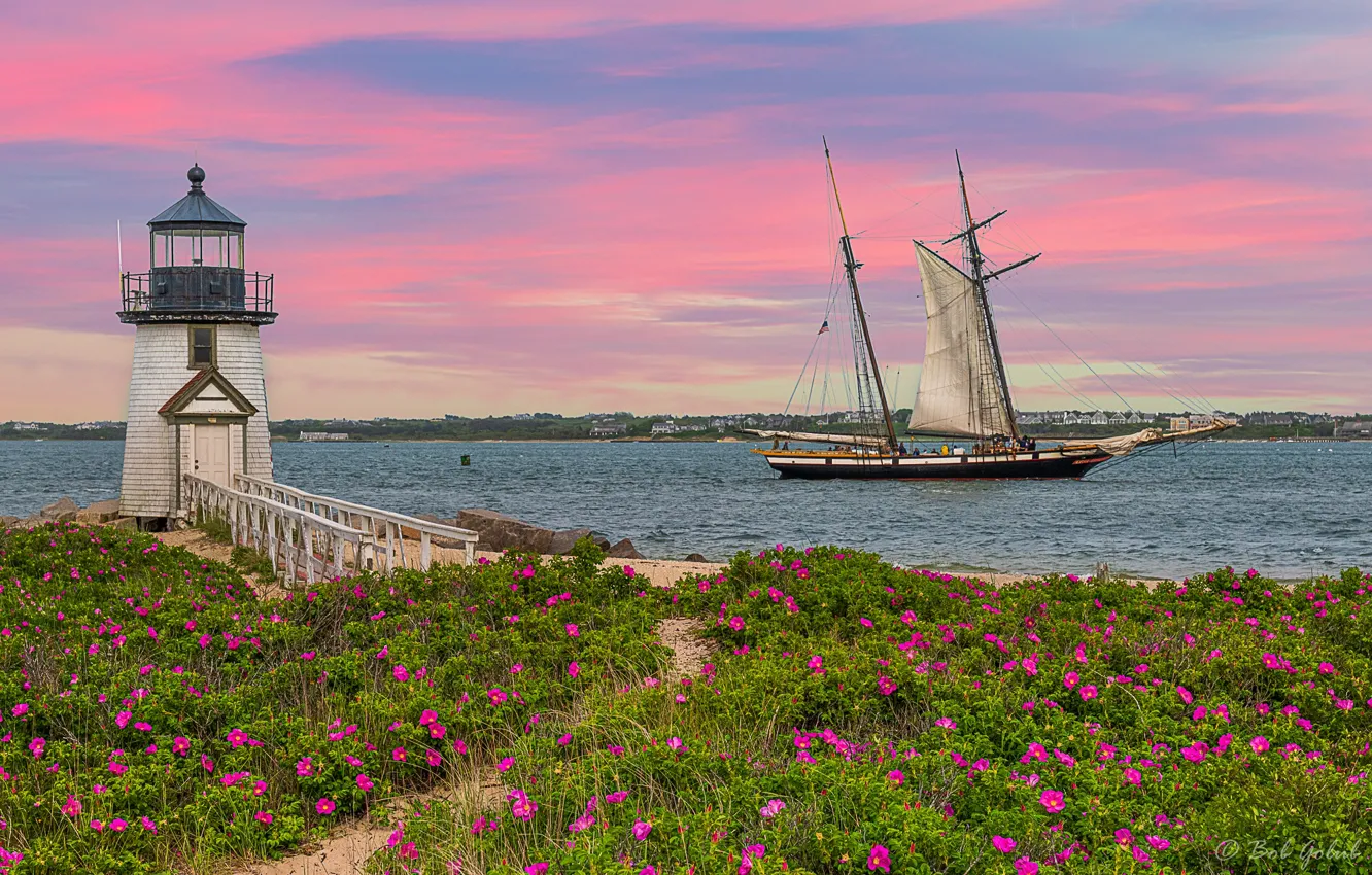 Фото обои цветы, океан, побережье, маяк, парусник, Massachusetts, Атлантический океан, Массачусетс