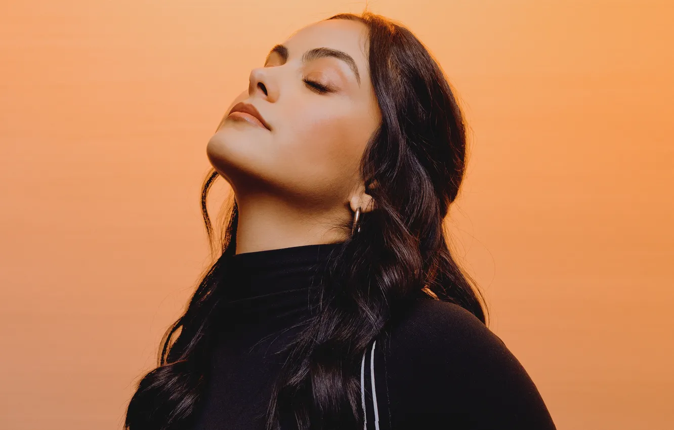 Фото обои девушка, лицо, фон, волосы, актриса, брюнетка, Camila Mendes