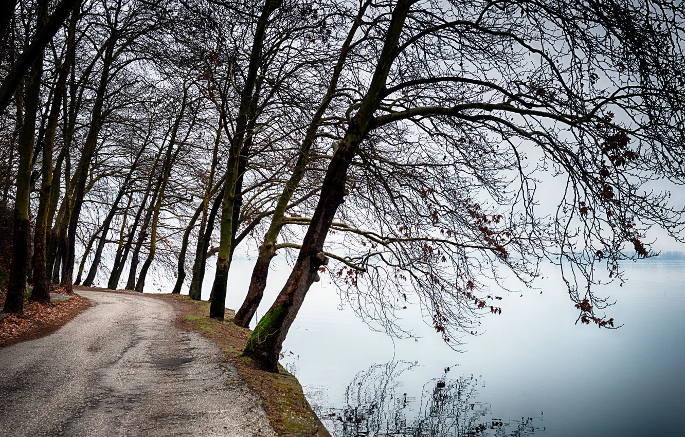 Фото обои дорога, деревья, озеро, отражение