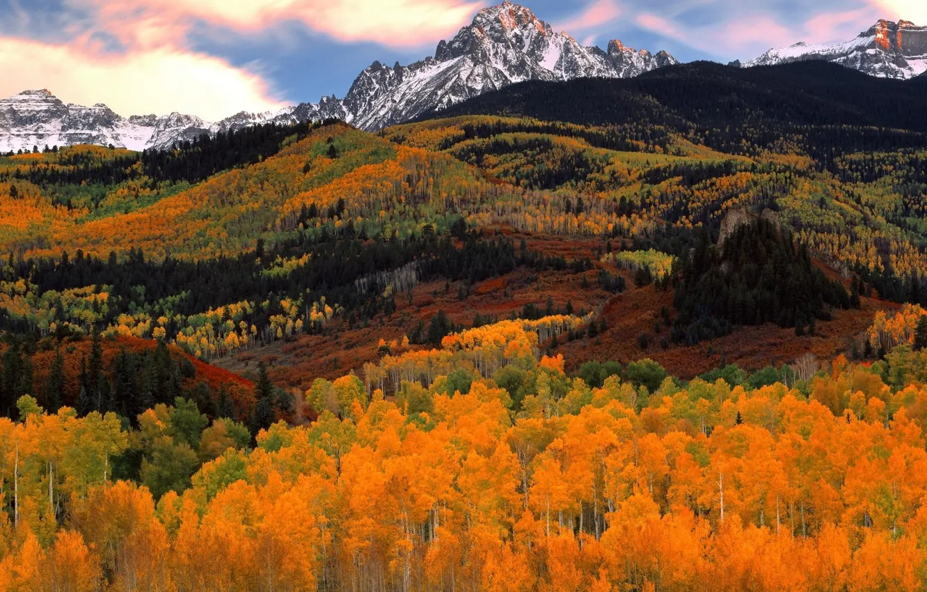 Фото обои осень, лес, горы