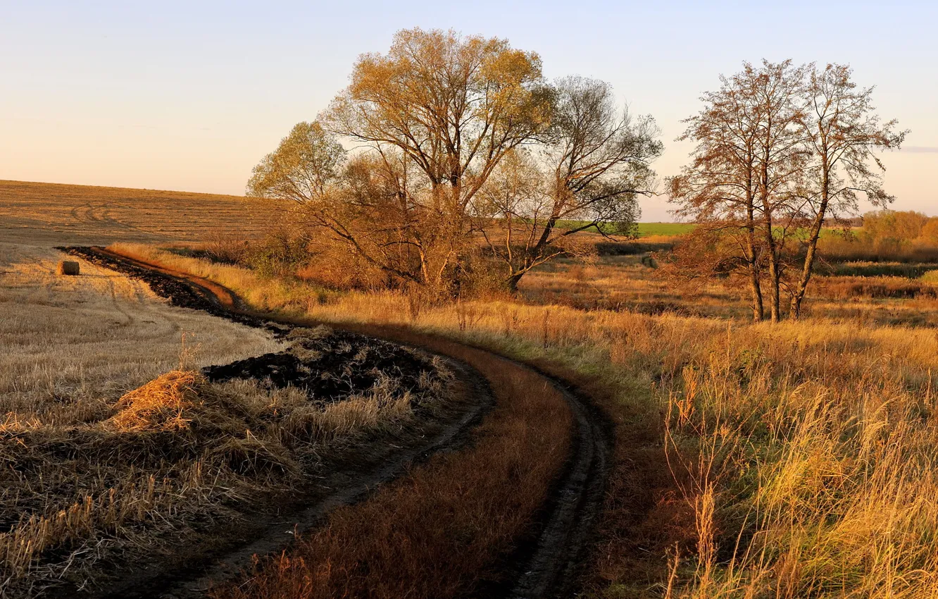 Фото обои дорога, поле, закат