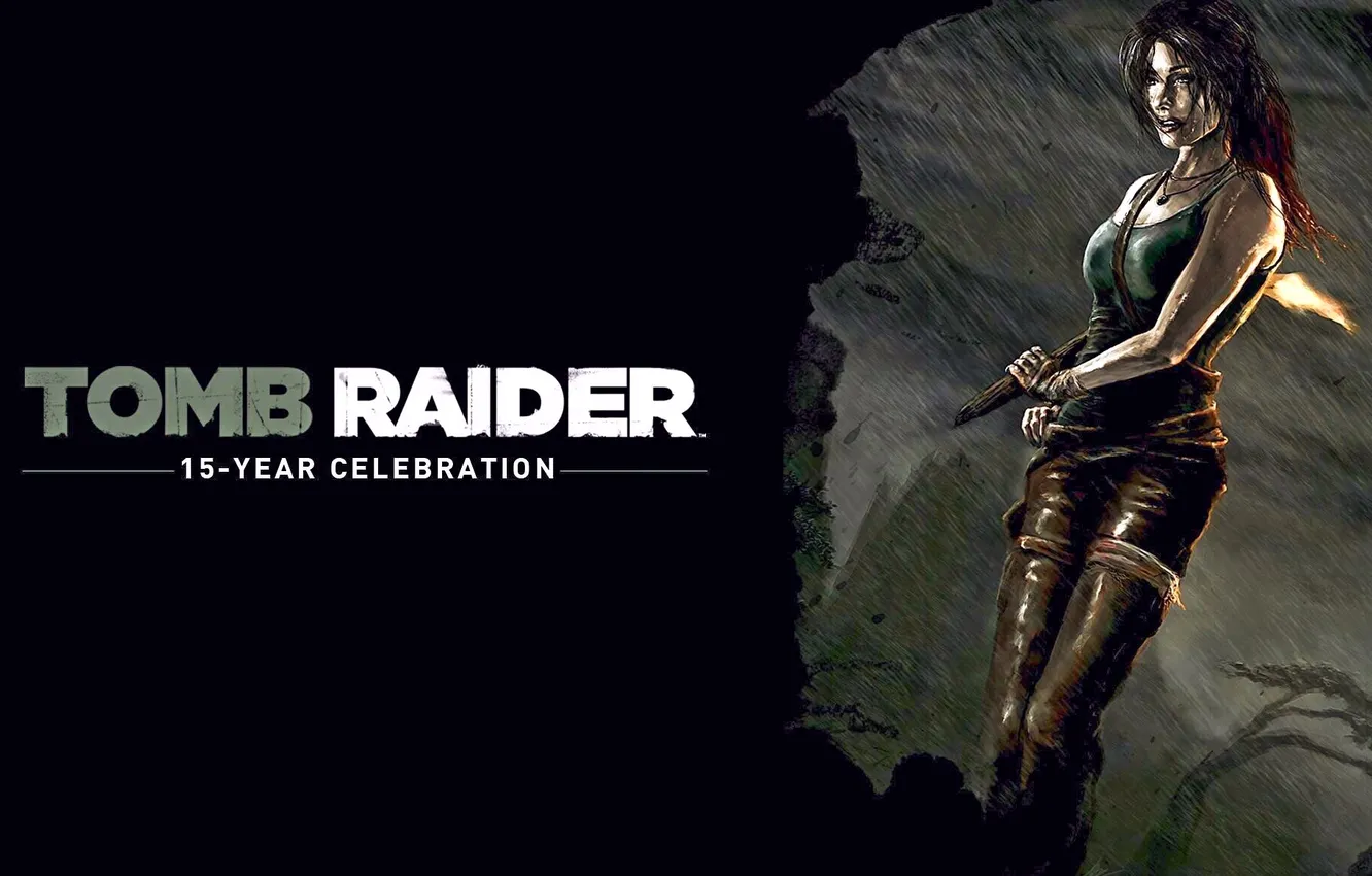 Фото обои Tomb Raider, game, Lara Croft, 2013