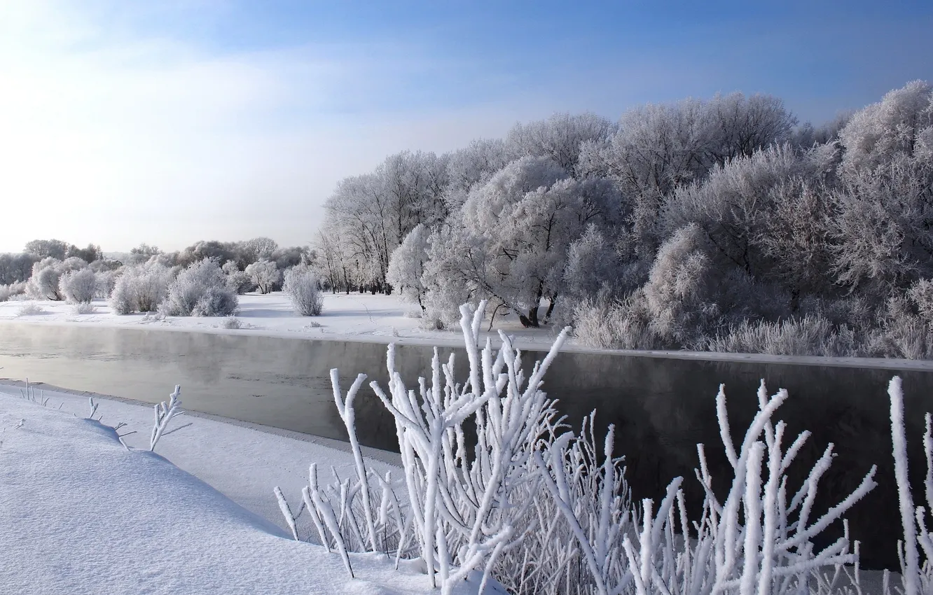 Фото обои зима, снег, деревья, река