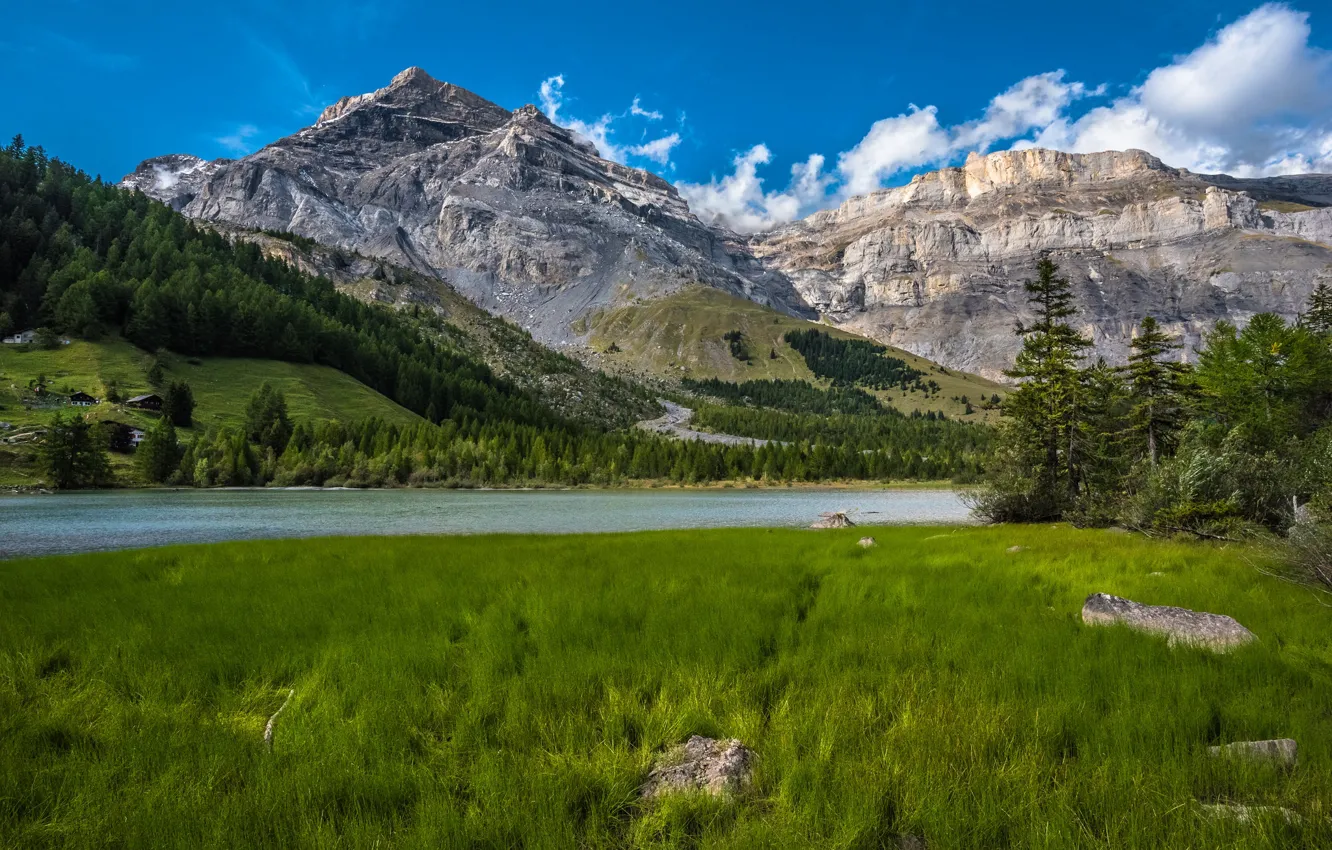 Фото обои лес, трава, горы, озеро, Швейцария, Switzerland, Bernese Alps, Бернские Альпы