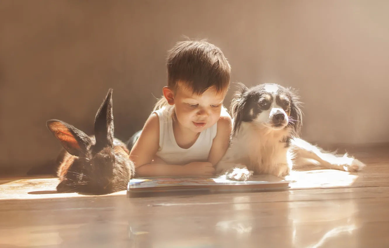 Фото обои собака, мальчик, кролик, друзья, книжка, чтение