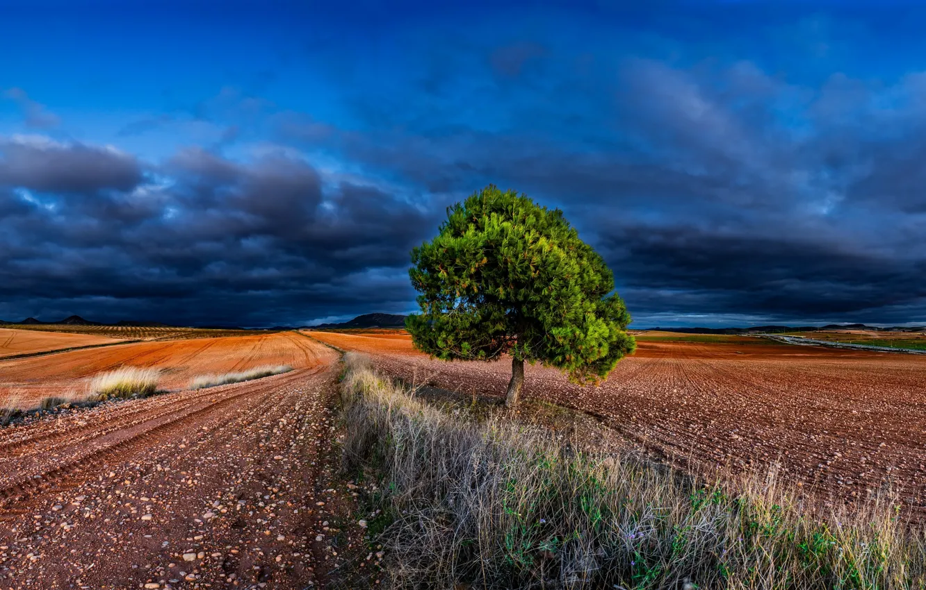 Фото обои дорога, небо, природа