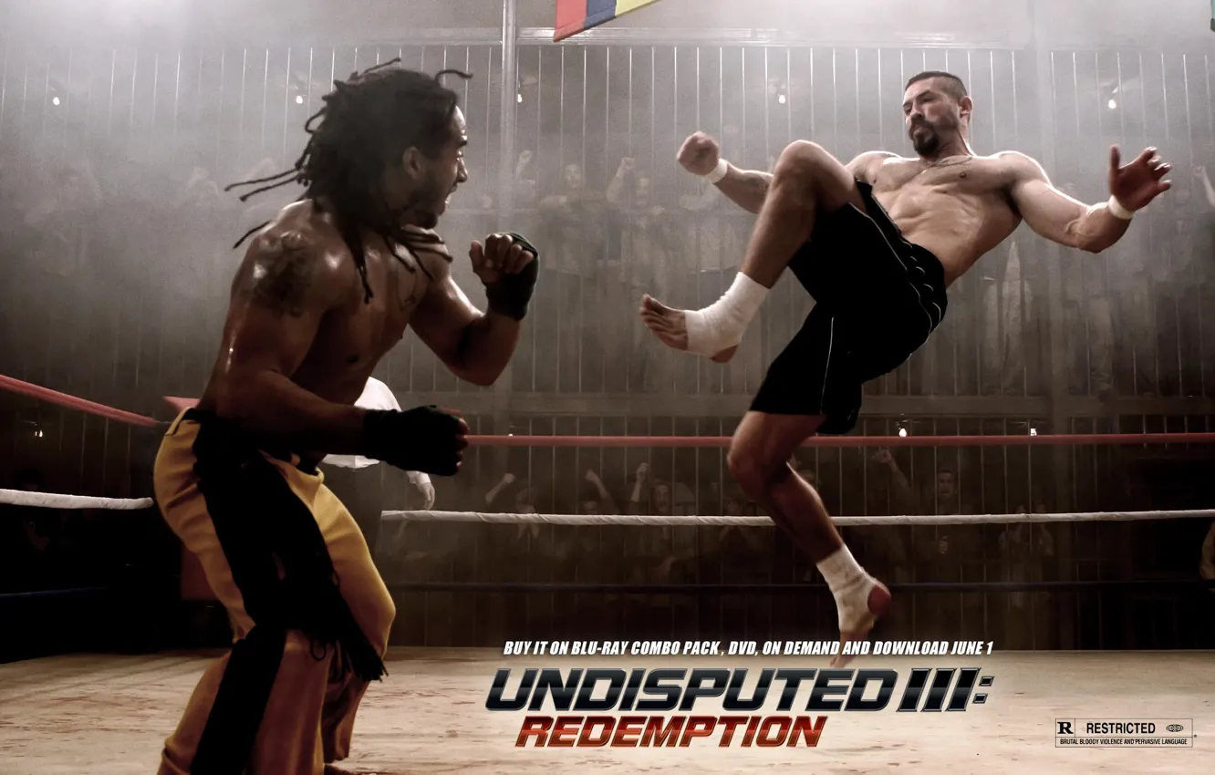 Фото обои бокс, ринг, Скотт Эдкинс, Scott Adkins, Undisputed III, Redemption, Неоспоримый 3, Yuri Boyka