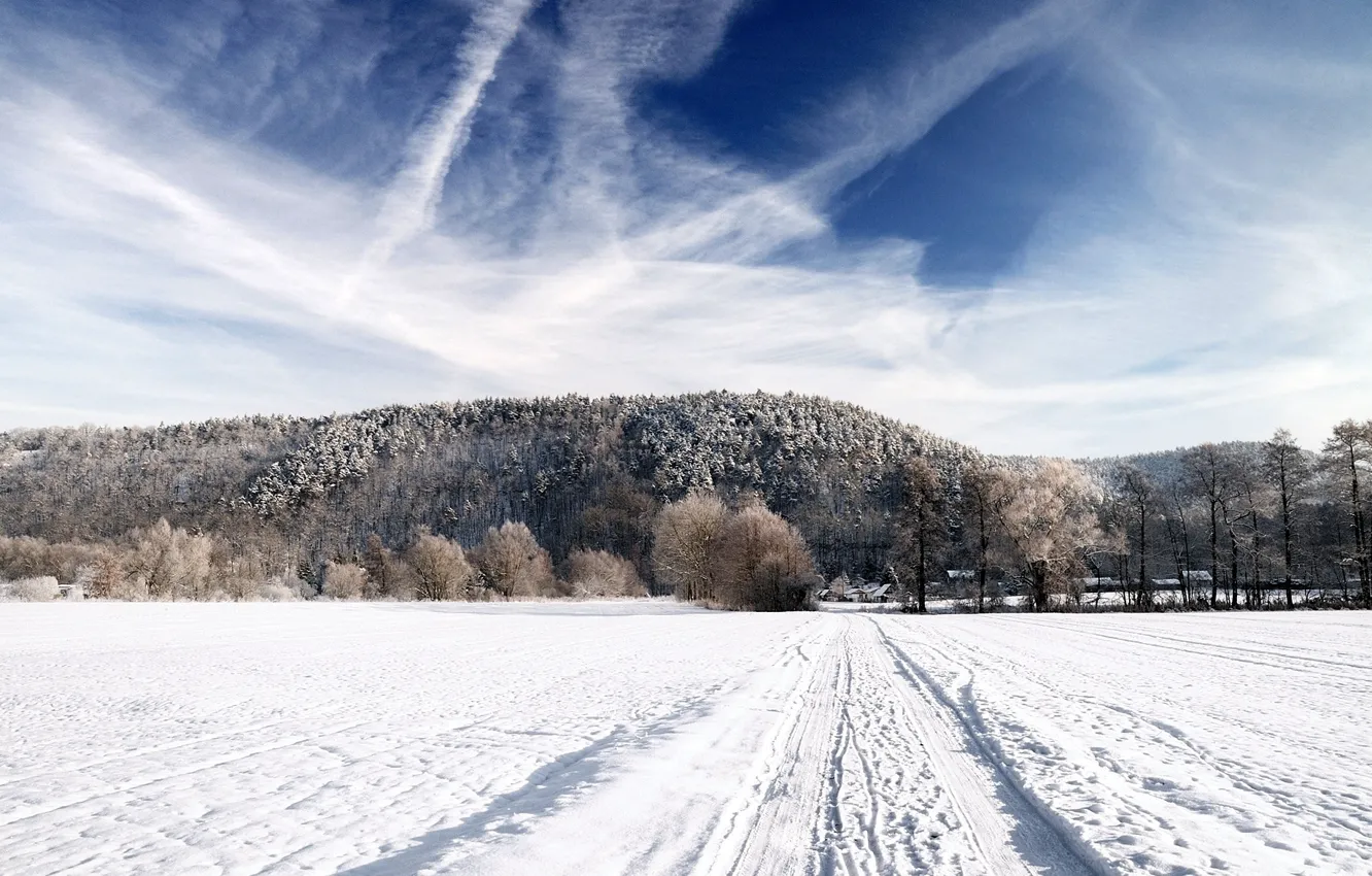 Фото обои зима, дорога, поле, лес, небо, снег, пейзаж, природа