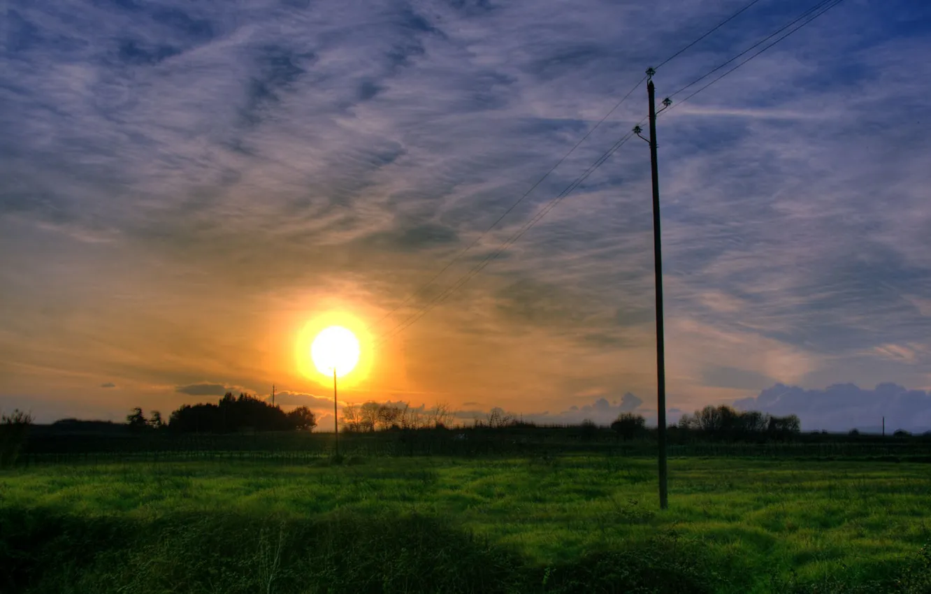 Фото обои трава, солнце, столбы