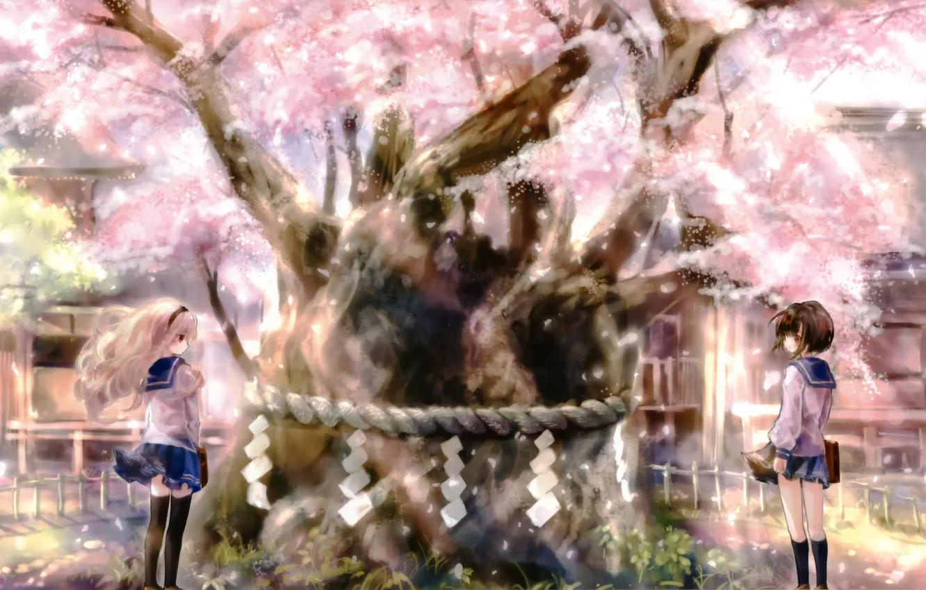 Фото обои девушки, дерево, дома, аниме, сакура, арт, школьницы, onineko