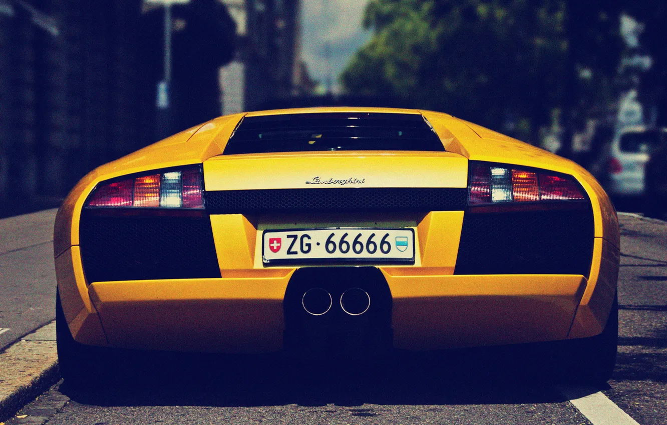 Фото обои Lamborghini, номер, Murcielago