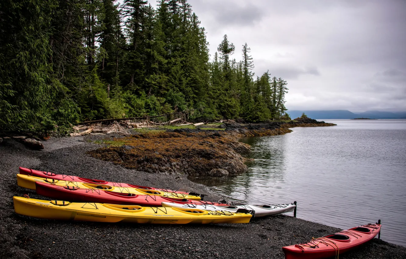 Фото обои деревья, побережье, лодки, Аляска, США, Alaska, Ketchikan, Tatoosh Island