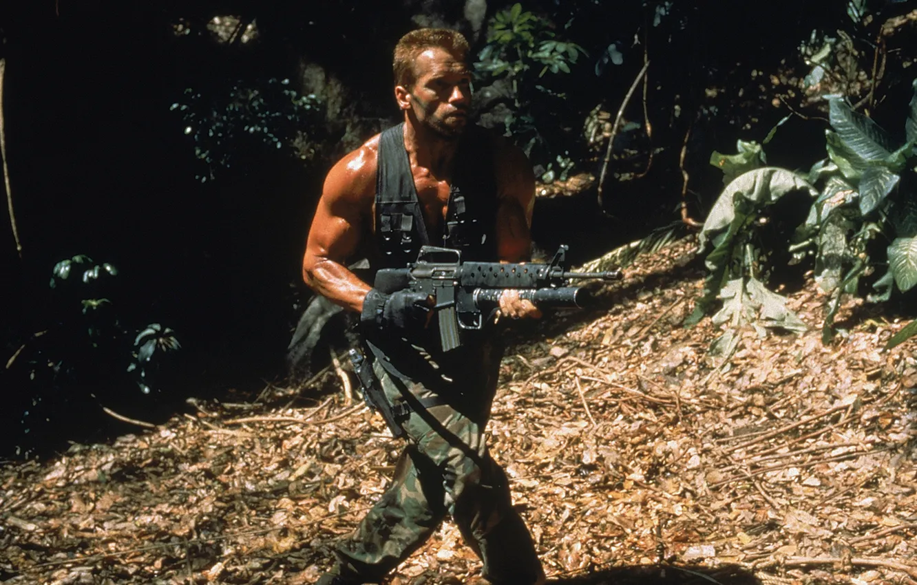 Фото обои мужик, джунгли, солдат, актер, Хищник, Predator, Арнольд Шварценеггер, Arnold Schwarzenegger