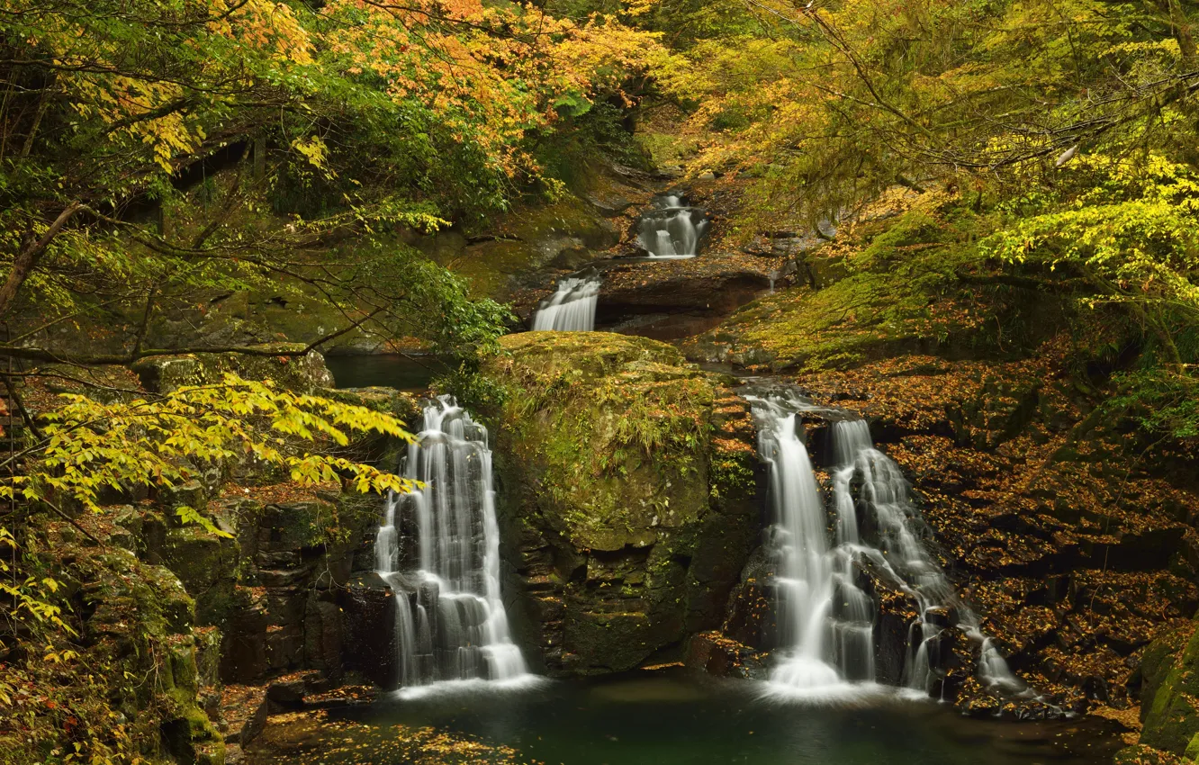 Фото обои осень, лес, листья, деревья, ручей, камни, водопад, мох