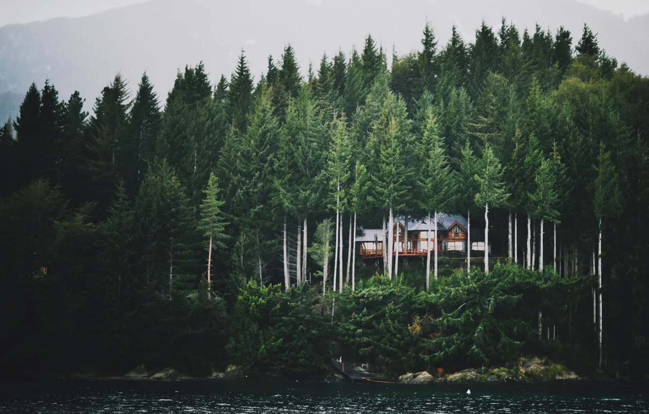 Фото обои лес, горы, туман, озеро, дом, ели