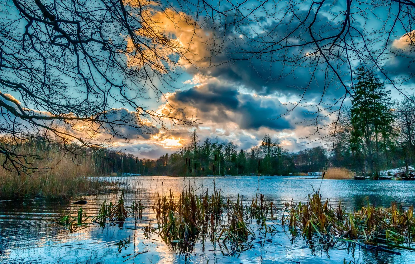 Фото обои небо, облака, деревья, пейзаж, закат, природа, озеро, отражение