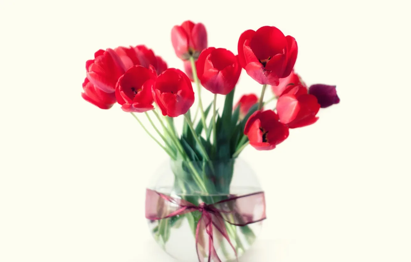 Фото обои цветы, букет, тюльпаны, красные, ваза