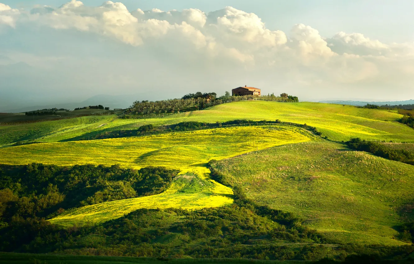 Фото обои дом, Италия, виноградник, Тоскана