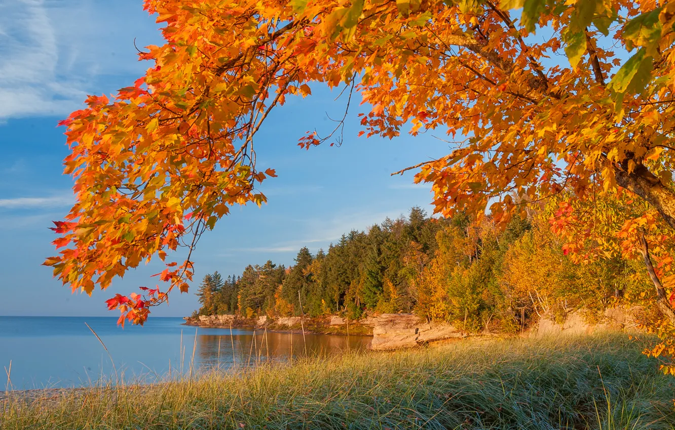 Фото обои море, осень, лес, небо, листья, озеро, дерево, скалы