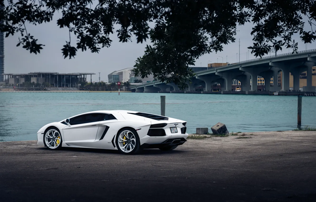Фото обои Lamborghini, White, Aventador, Vellano MC Customs