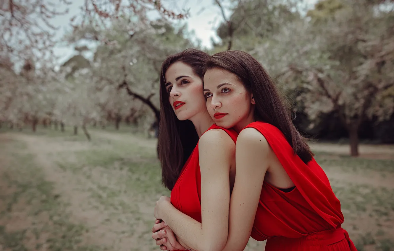 Фото обои девушка, деревья, модель, сад, платье, объятия