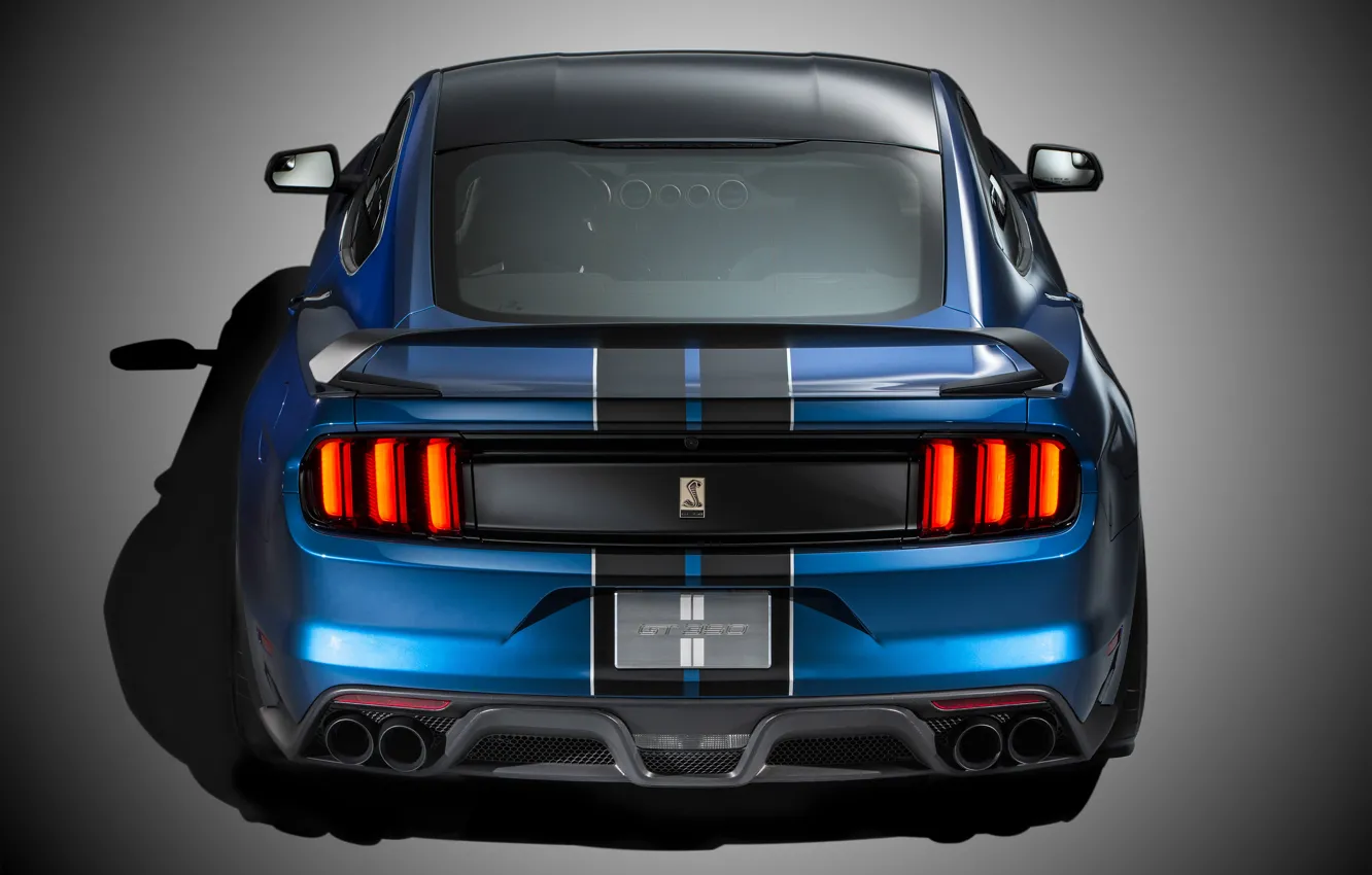 Фото обои Mustang, Ford, Shelby, Muscle, Car, Rear, 2015, GT350R