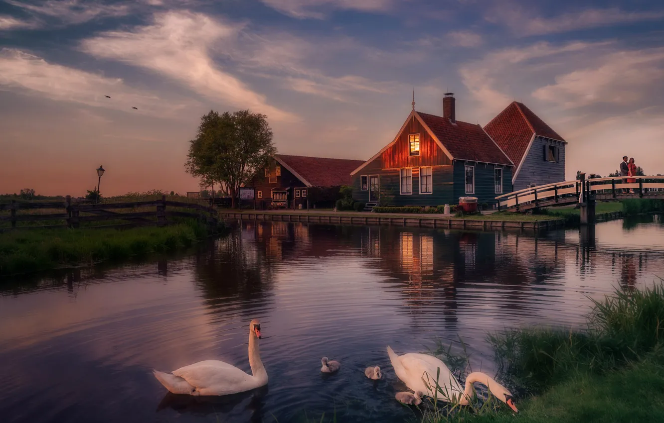 Фото обои небо, мост, дома, вечер, лебеди, Голландия