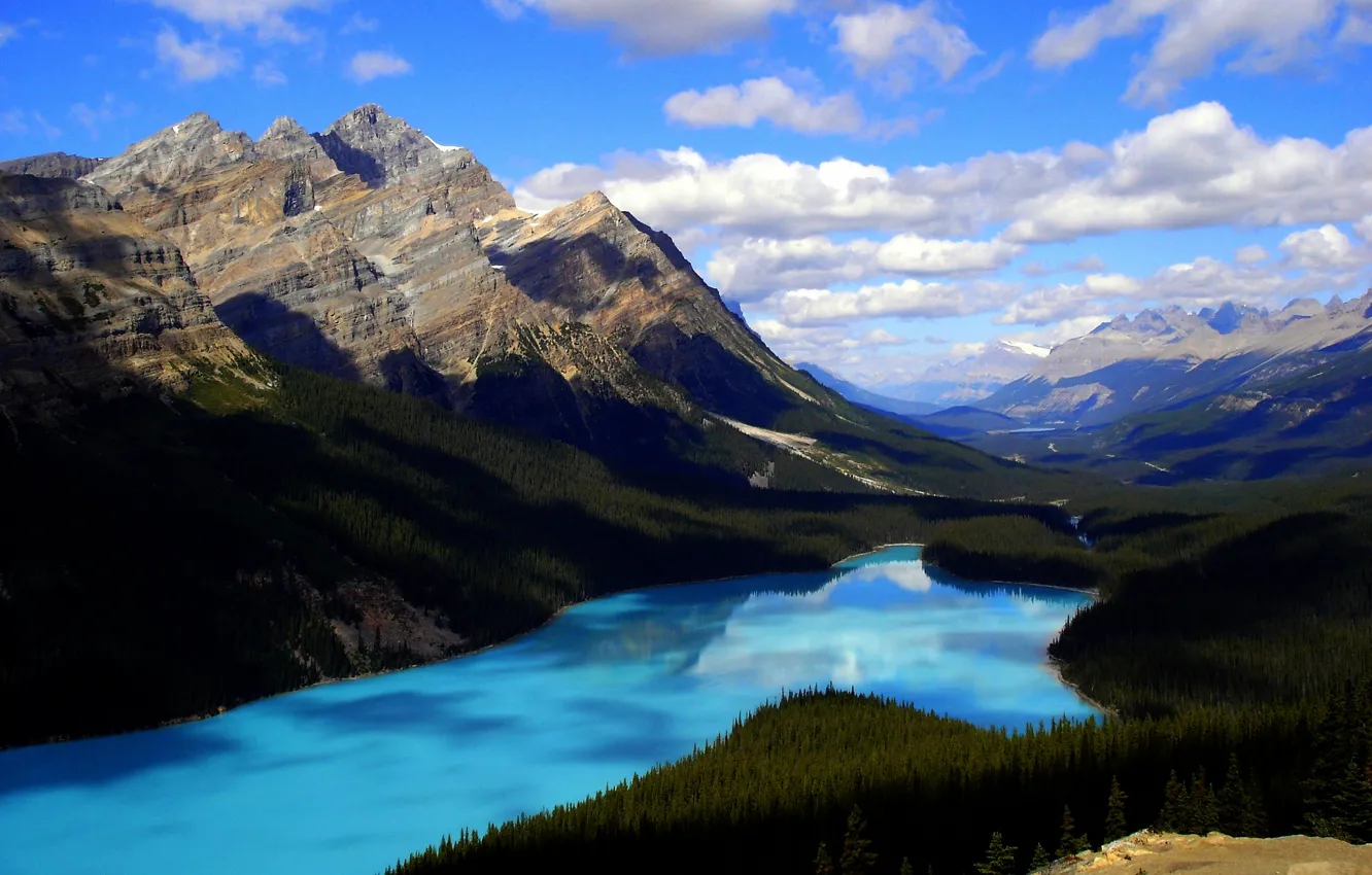 Фото обои лес, горы, озеро, Канада, Альберта