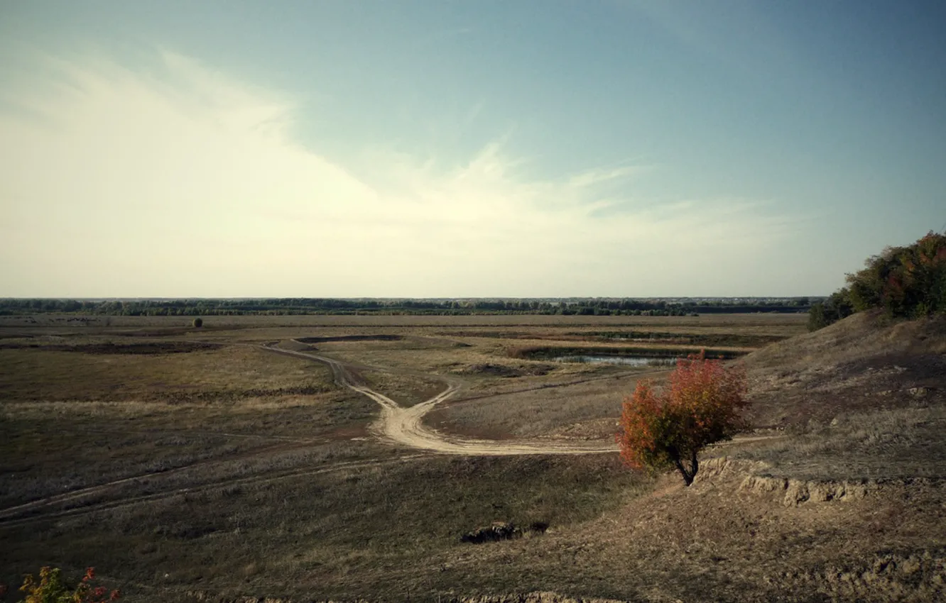 Фото обои поле, осень, пейзаж, природа, растения, день