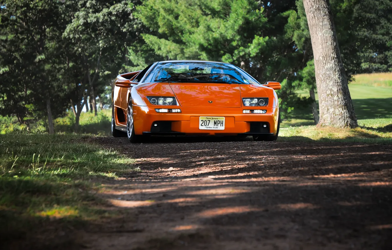 Фото обои трава, деревья, оранжевый, lamborghini, diablo, передок, orange, грунтовка