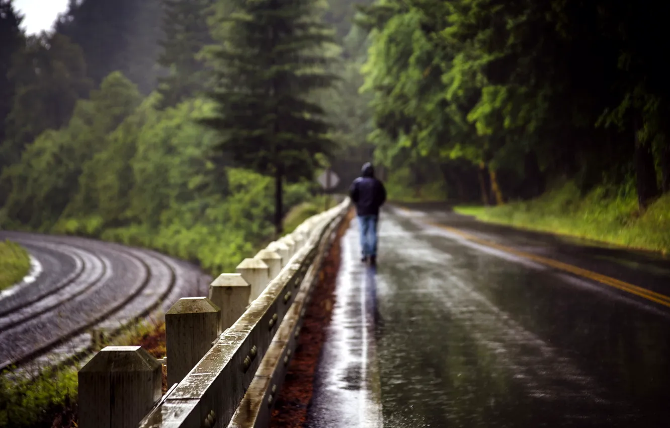 Фото обои дорога, дождь, забор