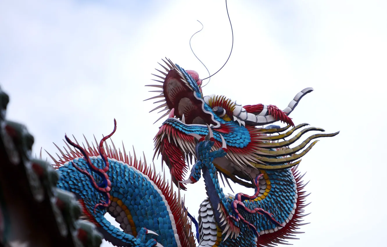 Фото обои Дракон, Китай, Цветной